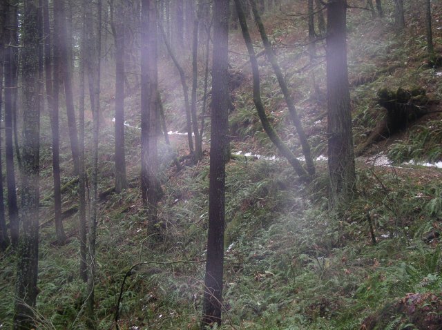 12.23.05 Elowah Falls 012 